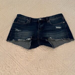 Blank NYC Dark Wash Distressed Jean Shorts